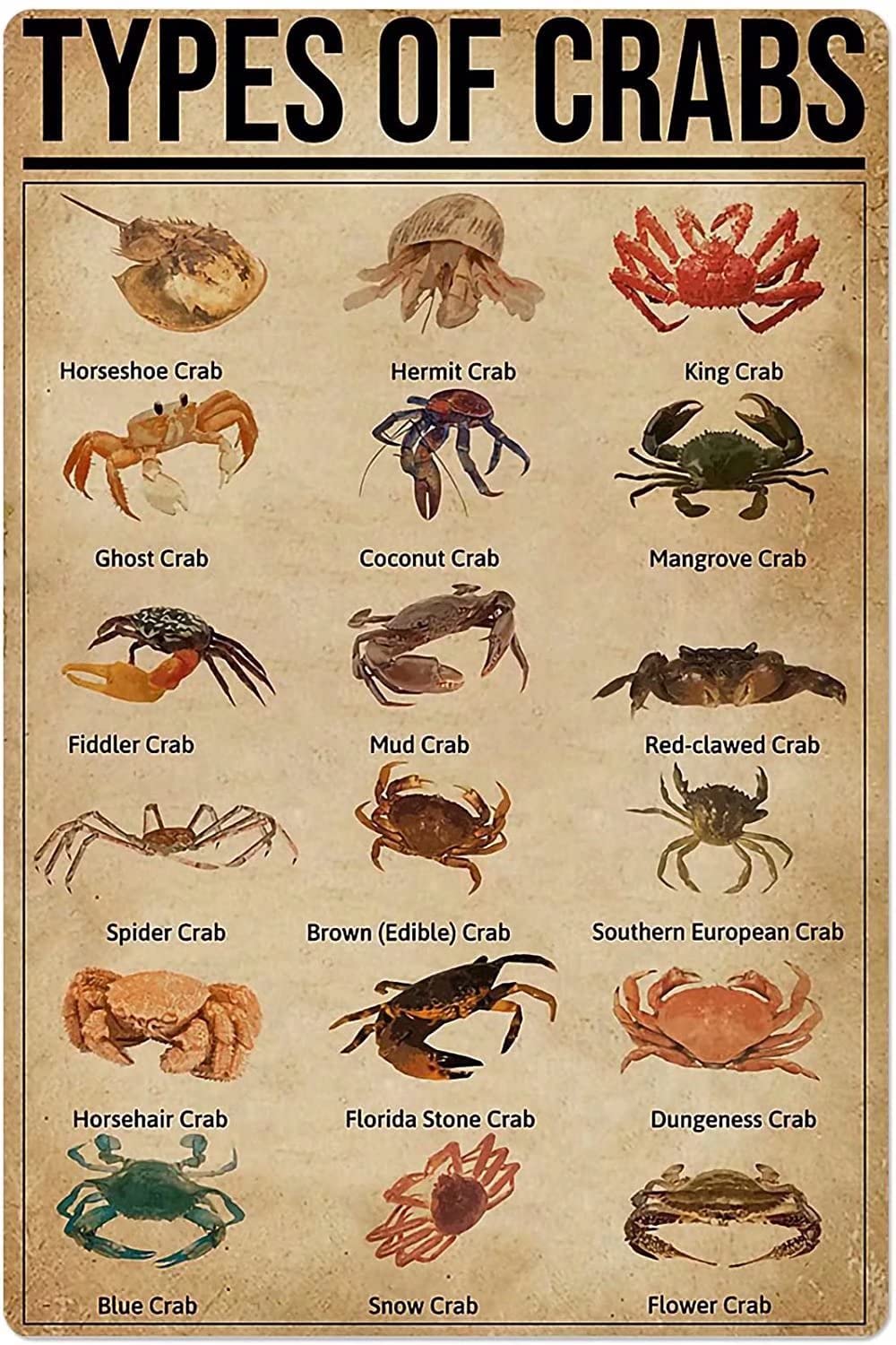 Types Of Crabs Metal Signs, Fun Poster For Bar Kitchen Cafe Farmhouse Wall Decor 12x16 inch