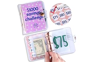 AIERSA Mini Cash Binder: Your Pathway to Financial Freedom