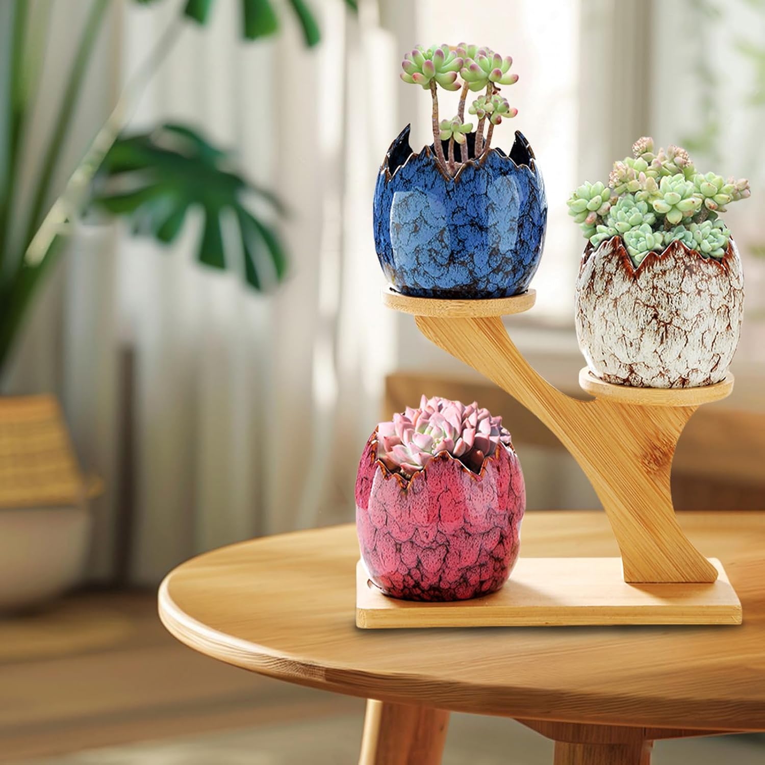 YYW Succulent Planter Pots Indoor Ceramic Decoration Cactus Small Flower Plant Pot with Tree Tier Bamboo Stand for Garden Kitchen Home Office Decor Plant Lovers Gifts 3Pcs