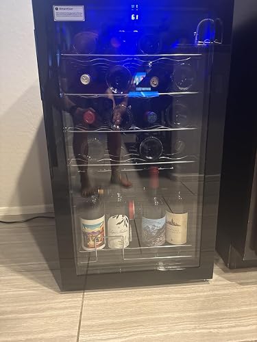 Review Image by Amazon Customer