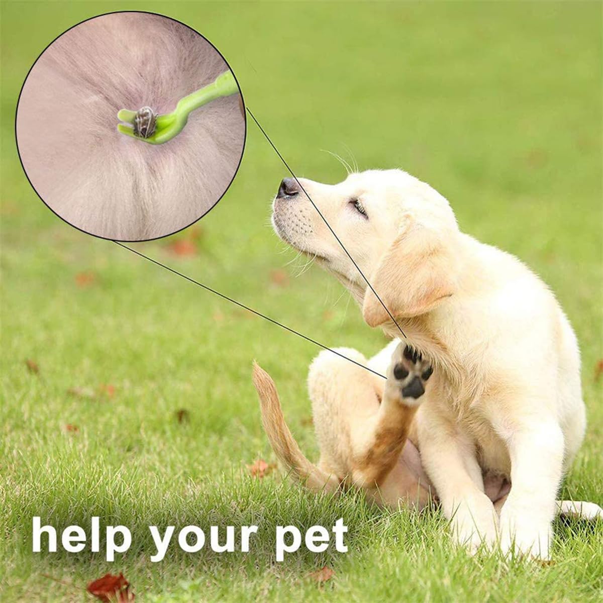 6 PCS Tire Tique Chien Pince à Tiques, Pièges à Tiques, Tire Tique pour Humain - pour Chat Pince à pour Homme, Enfants et Chevaux Anti