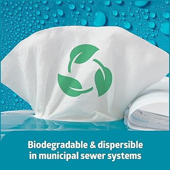 Medline Readyflush Biodegradable Flushable Wipes, 576 wipes (24 pack of 24 wipes)