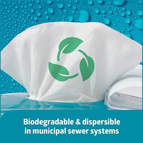Medline Readyflush Biodegradable Flushable Wipes, 576 wipes (24 pack of 24 wipes)