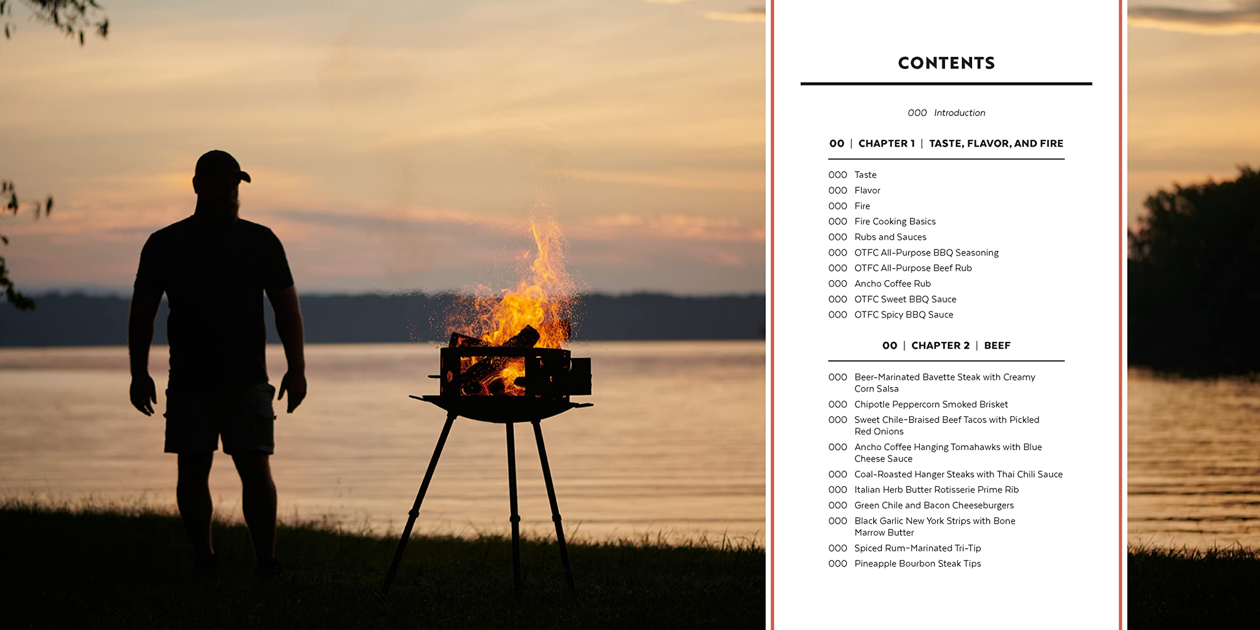 Flavor by Fire: Recipes and Techniques for Bigger, Bolder BBQ and Grilling