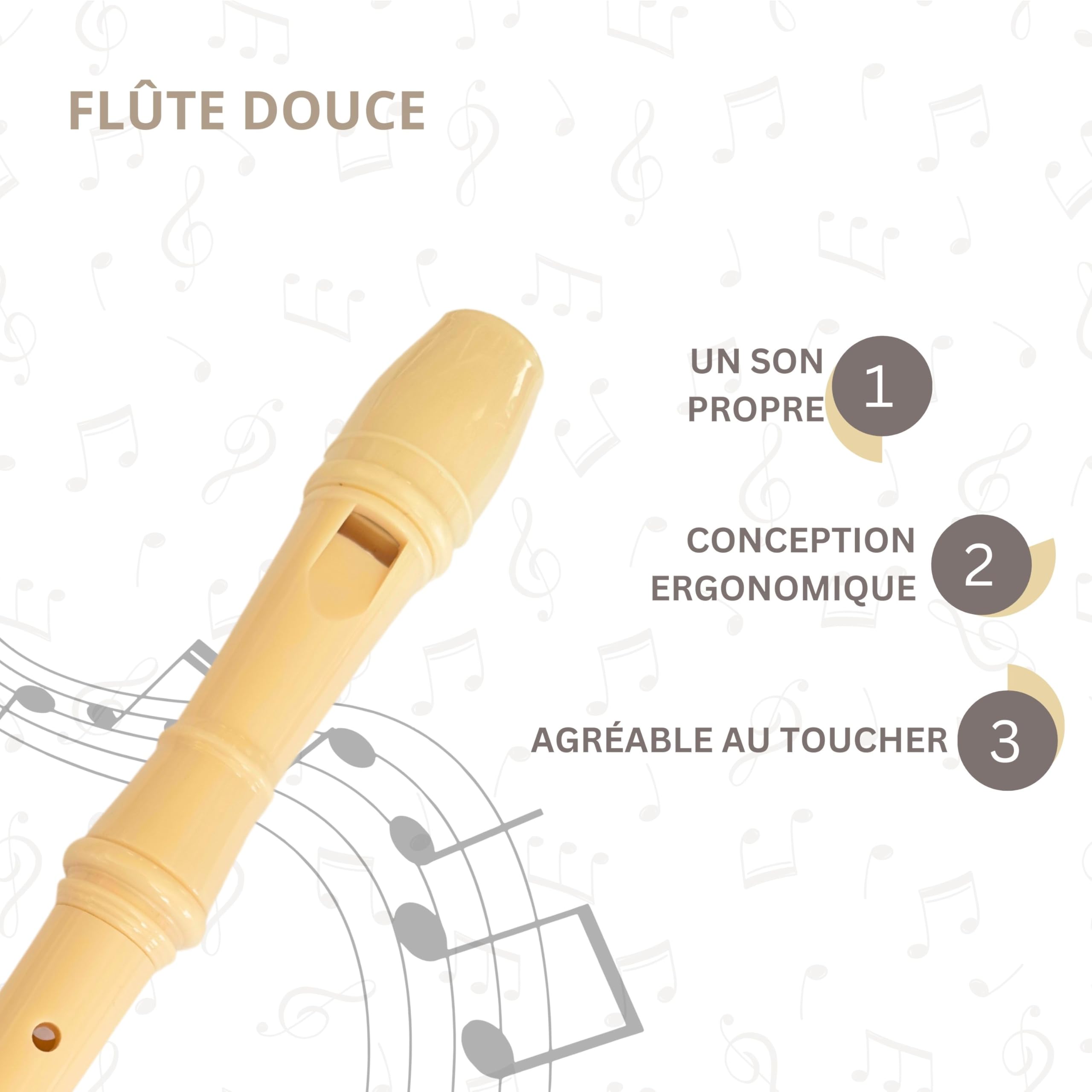 Ensemble Flûte à Bec Soprano Pour Débutants - Étuie Verte, Tige De Nettoyage, Tableau Des Doigtés - En Plastique Robuste, Couleur Ivoire - Idéal école Et Apprentissage Musical Ensemble Flûte à Bec Soprano Pour Débutants - Étuie Verte, Tige De Nettoyage, Tableau Des Doigtés - En Plastique Robuste, Couleur Ivoire - Idéal école Et Apprentissage Musical