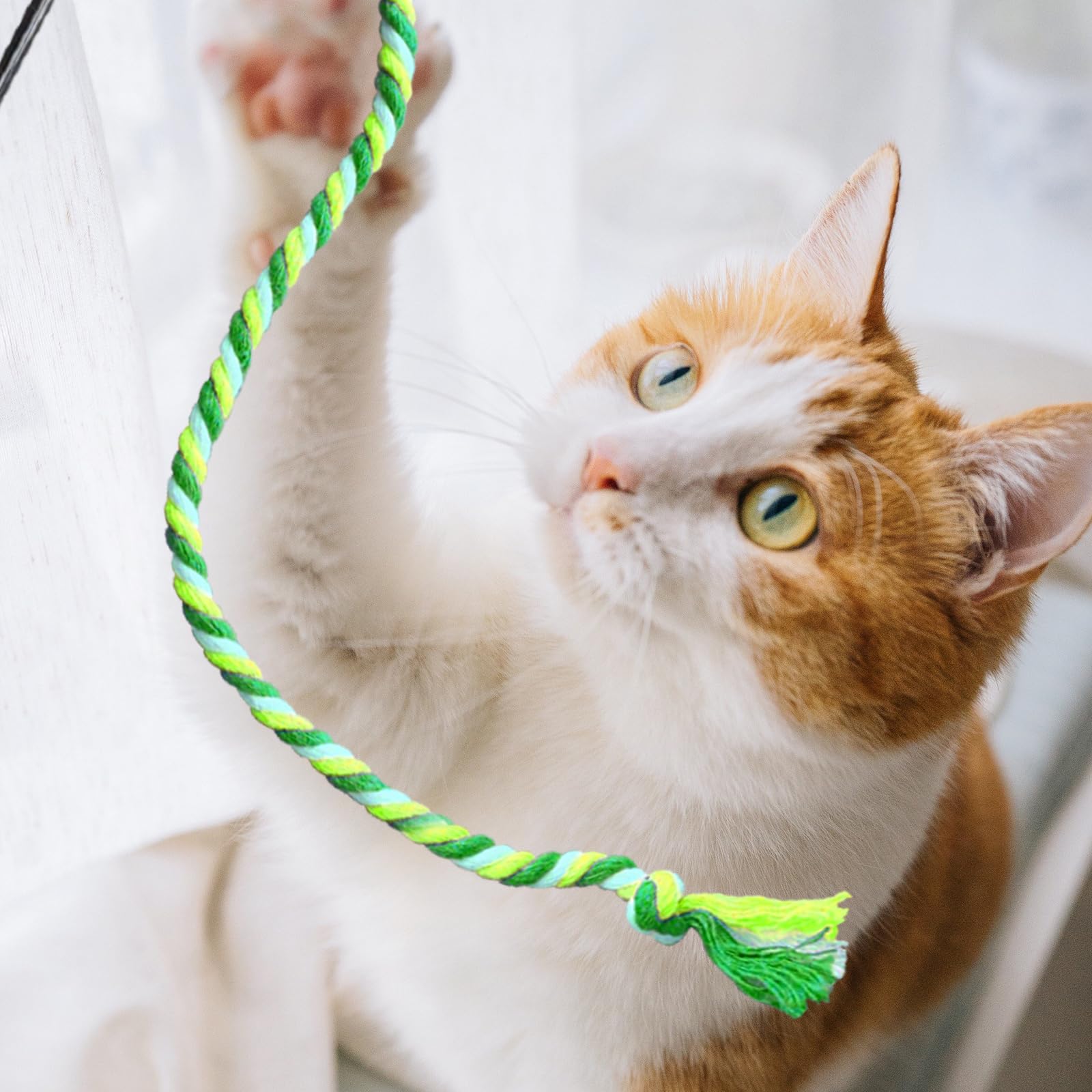 6 Pezzi Bacchetta per gatti, giocattolo interattivo per gatti, bacchetta interattiva, giocattoli interattivi per gatti nastri colorati in tessuto giocattolo per gatti