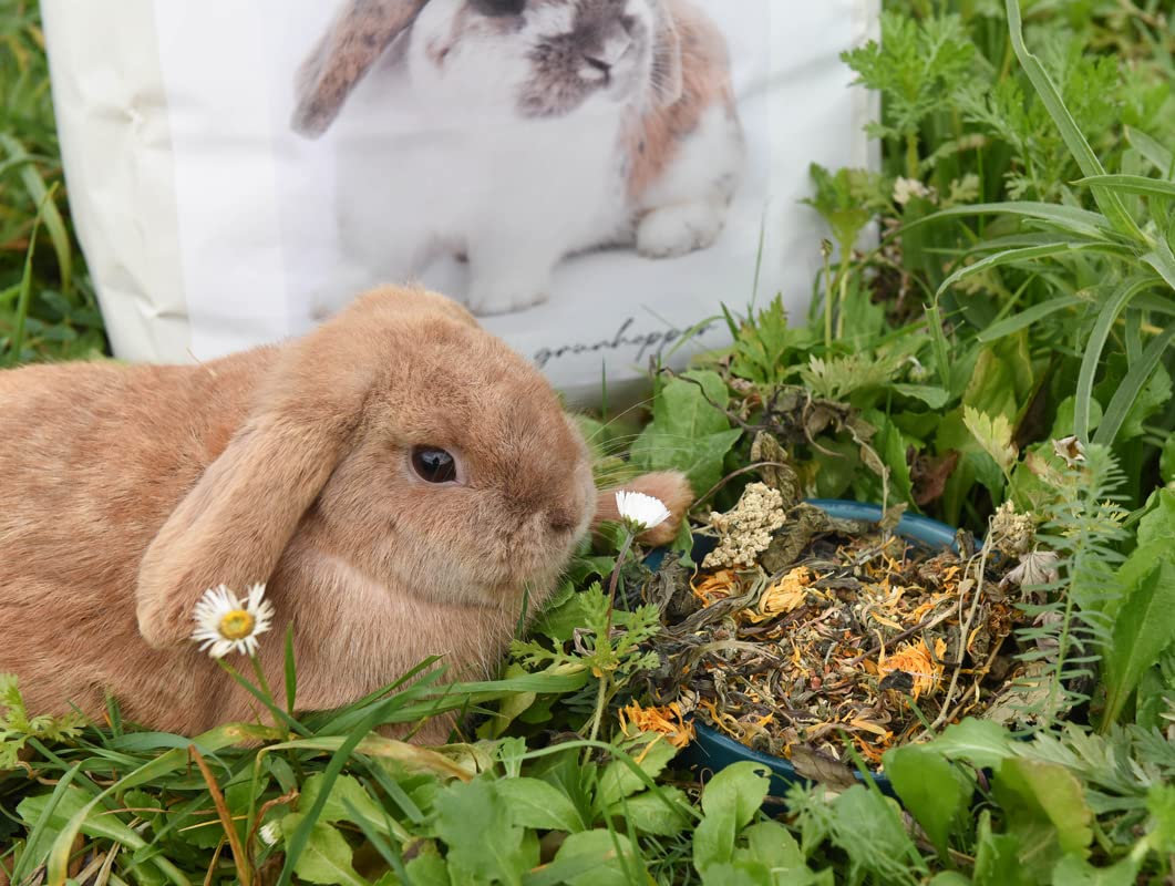 grünhopper The Essence minilop 3 kg