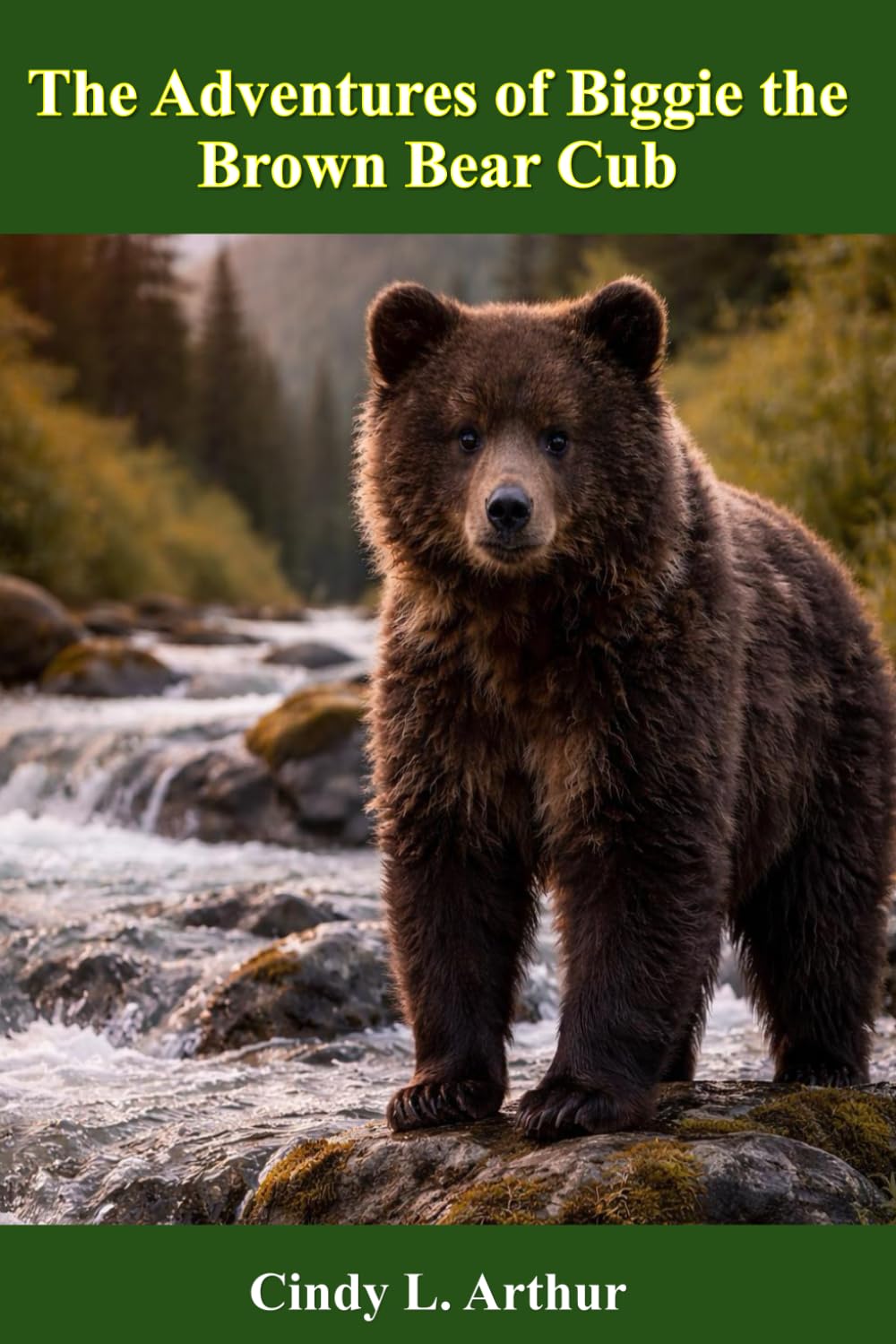 The Adventures of Biggie the Brown Bear Cub: Fun, Fur and Fish at Brooks Falls (Katmai Tales for Kids)
