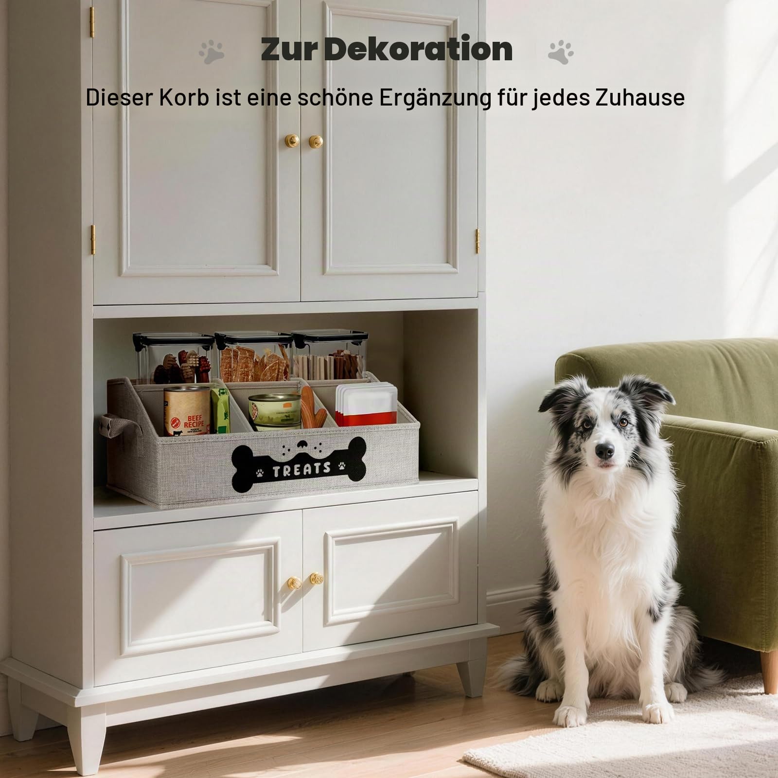 Hunde-Leckerli-Behälter, Aufbewahrungsorganizer für Hunde mit herausnehmbaren Trennwänden, zusammenklappbarer Leckerli-Halter für Hunde für die Arbeitsplatte, Trapez-Haustier-Leckerli-Behälter