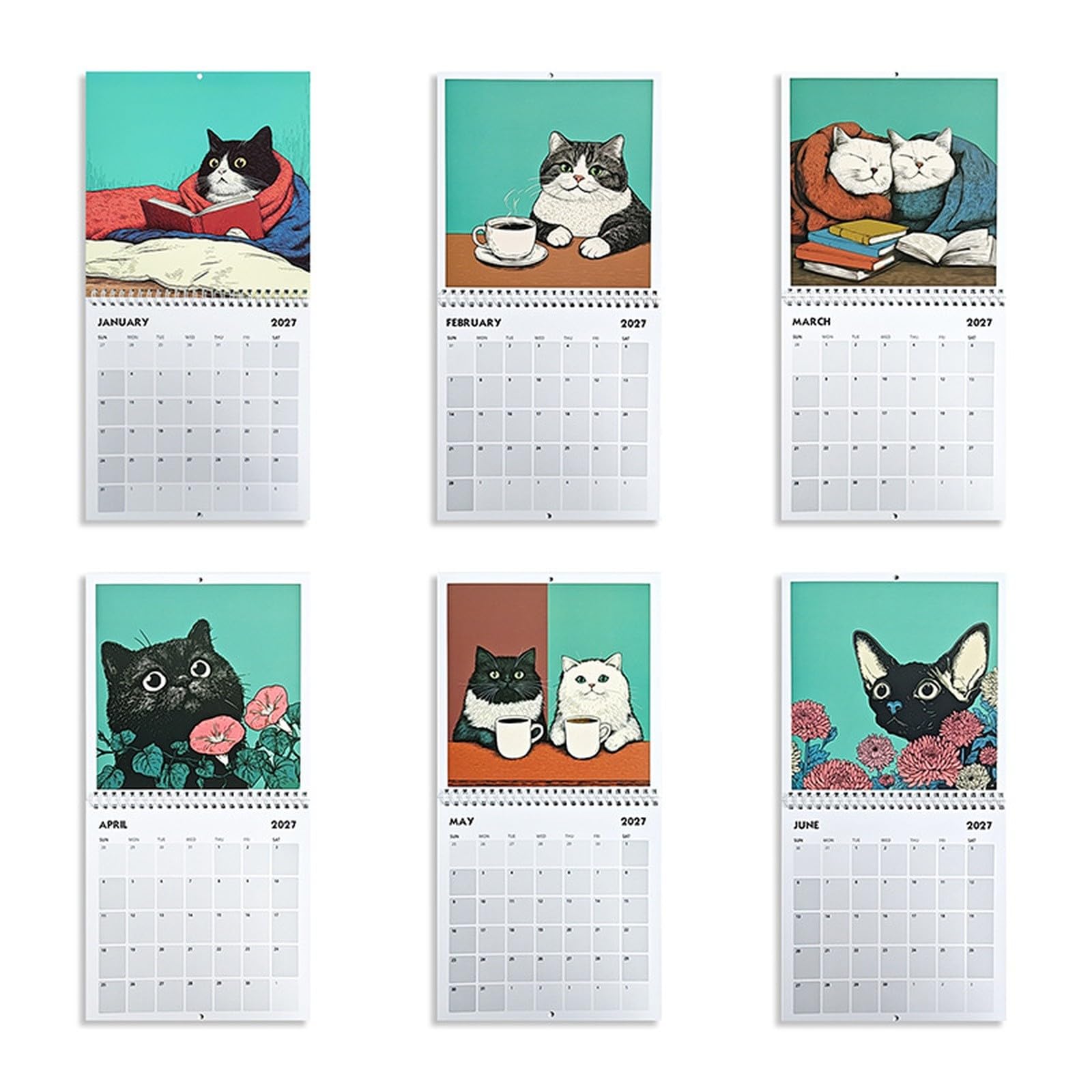 View 4