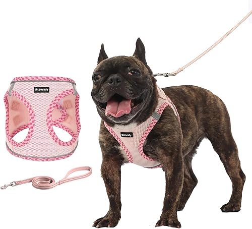 Juego de arnés y correa para perro, con chaleco acolchado sin tirones y sin estrangulamiento, arnés ajustable y reflectante para cachorro para