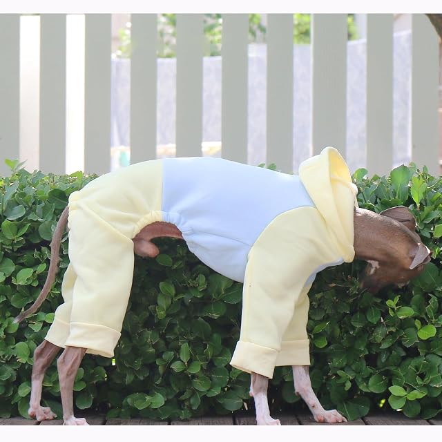 Foto 6 de 6 de IUOUTG Supuestador De Galgo Italiano, Sudadera para Perros De Whippet Whippet De Whippet