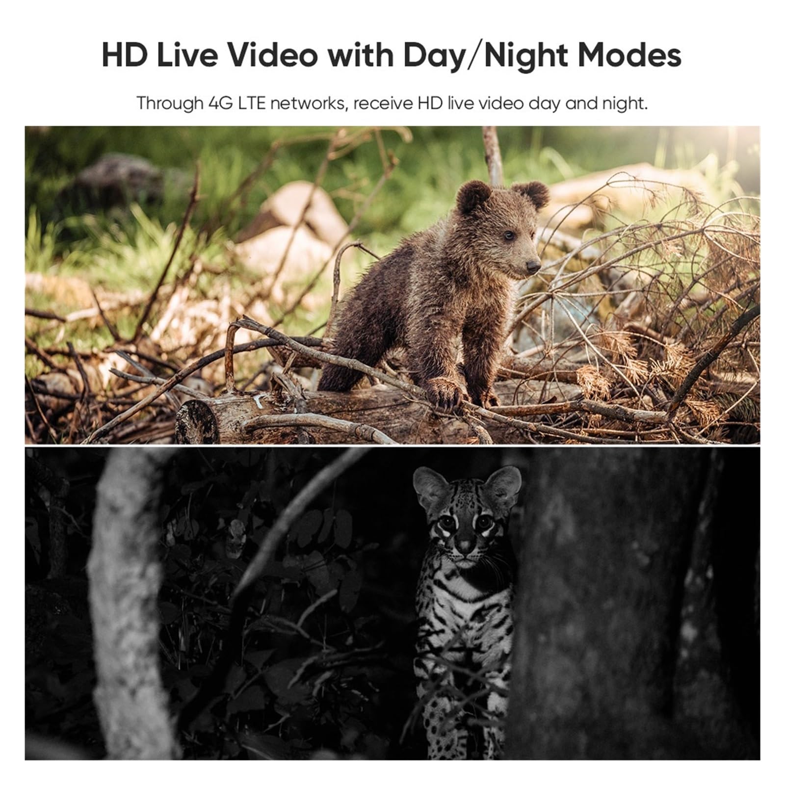 Cámara Vida Silvestre Cámara De Rastreo Solar 4MP 4G LTE PIR Detección Humana/Animal WiFi Visión Nocturna Seguridad Al Aire Libre IP66 Caza Bosque Monitoreo Confiable Preciso(4MP 4G No Card)