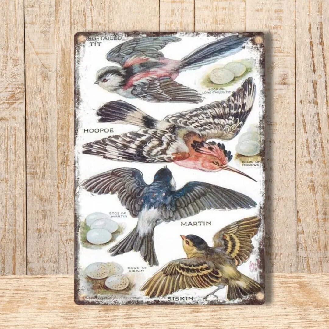 TRUCK FURNITURE トラックファニチャーポスター2枚＋額縁セットB2