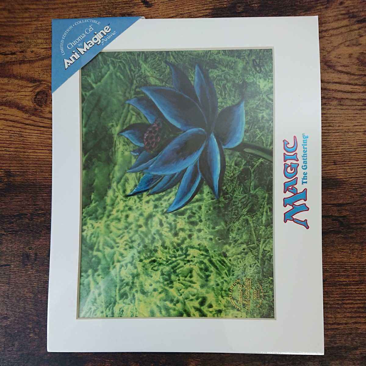 Amazon.co.jp: 稀少《Black Lotus》枚数限定アートプリント/複製原画