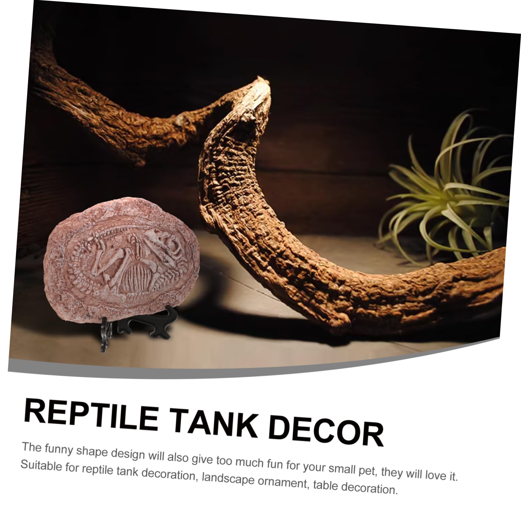 LIOOBO Paleontological Trilobites Dinosaur Fossil Decors Resin Dinosaur Fossil Resin Simulated Animal Specimen Stone Dinosaur Fossil Faux Dinosaur Specimen Fossil Terrarium Decors Props