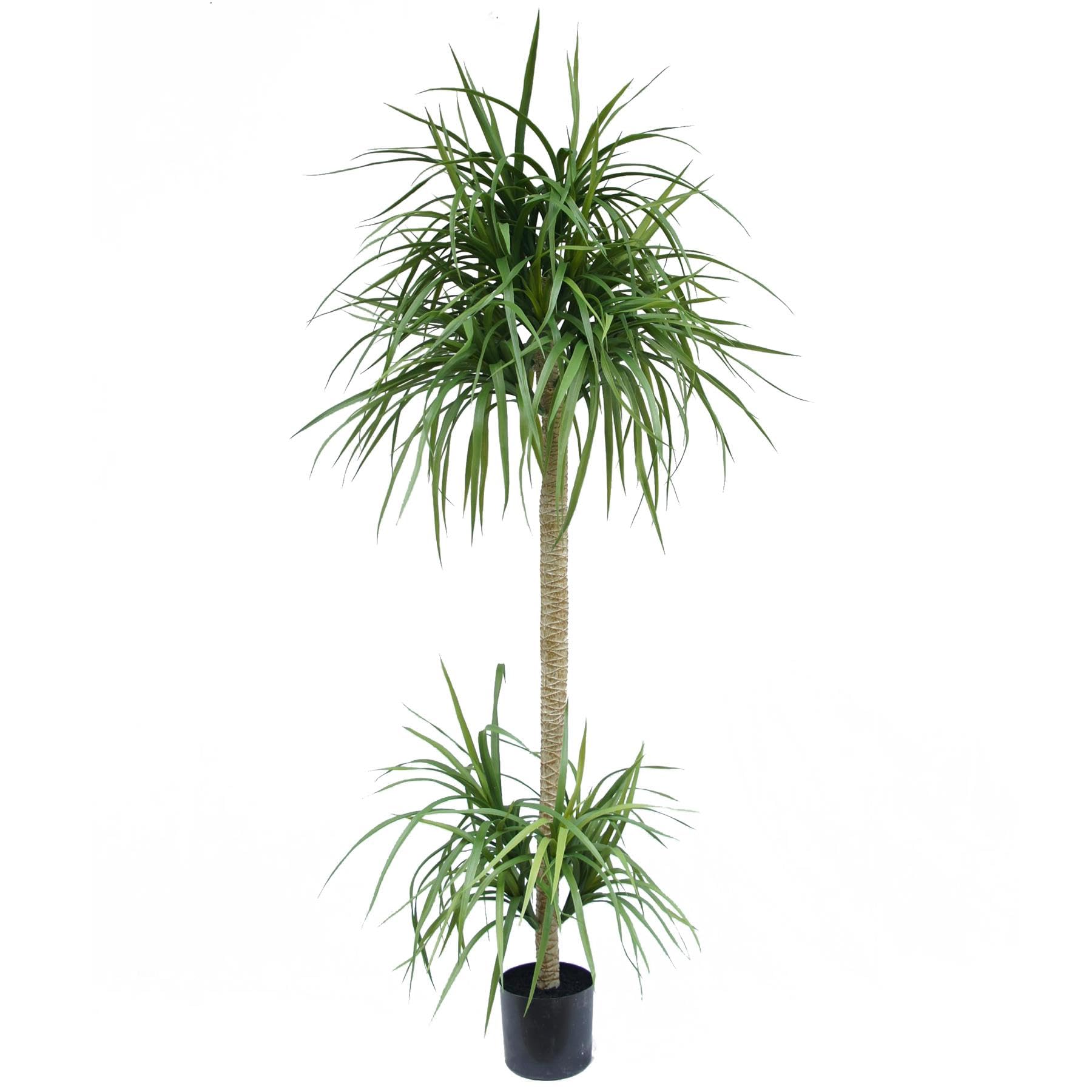 Leaf Design UK Artificial Yukka Tropical House Plant