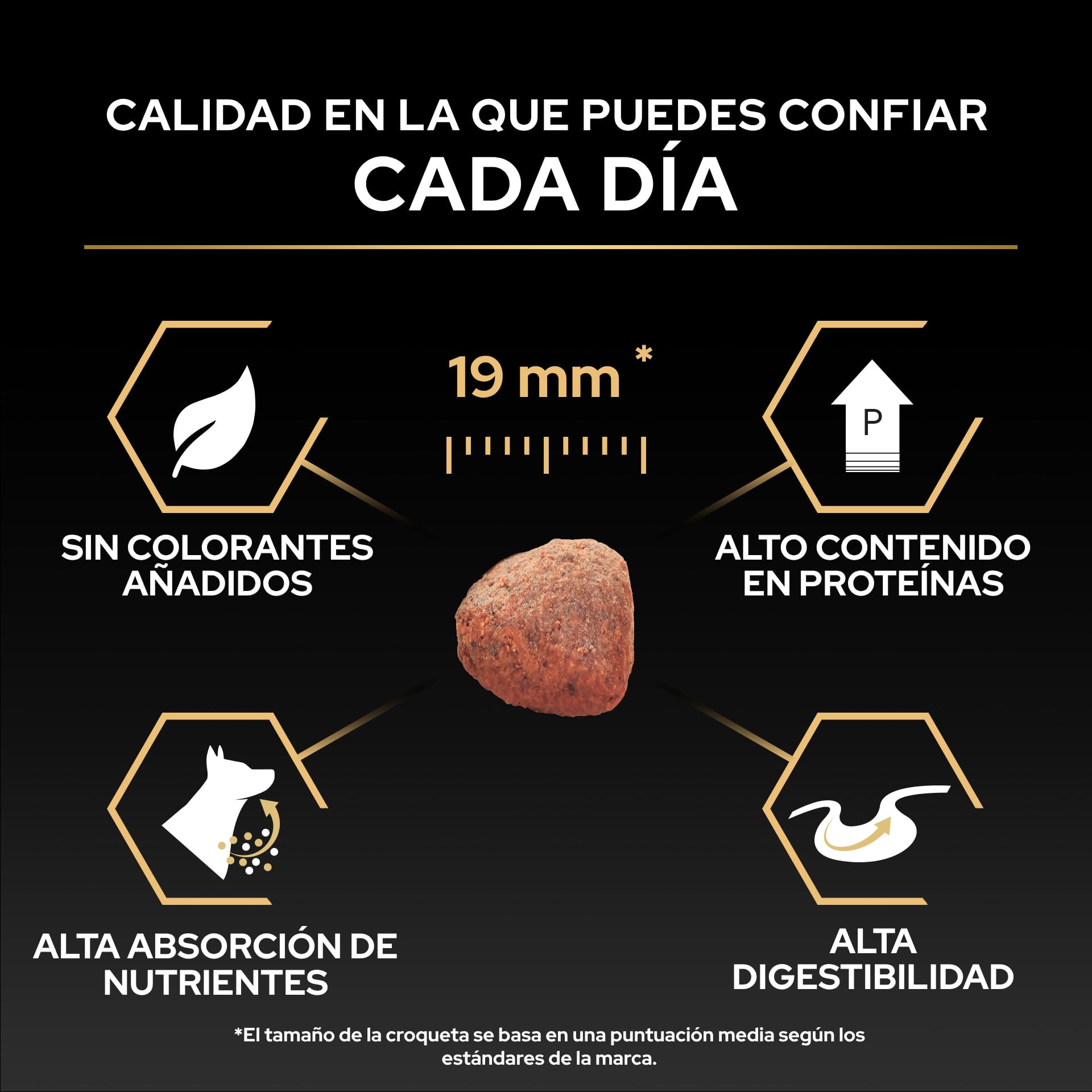 Purina Pro Plan Large Adult Robust Digestion Pienso para Perro Grande Adulto, Digestión Sensible con Cordero, Saco de 16kg