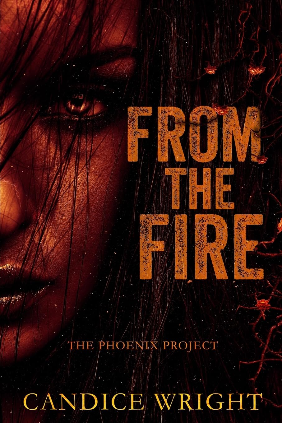 From the Fire: The Phoenix Project: 2 (The Phoenix Project Duet)