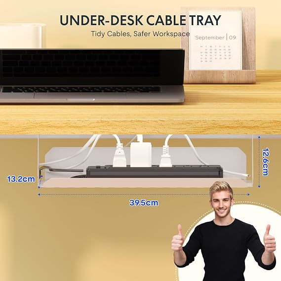 FLEXISPOT E1 ONE PIECE Electric Standing Desk Height Adjustable Sit Stand Desk with Memory Smart Panel(100 * 60cm, Maple)