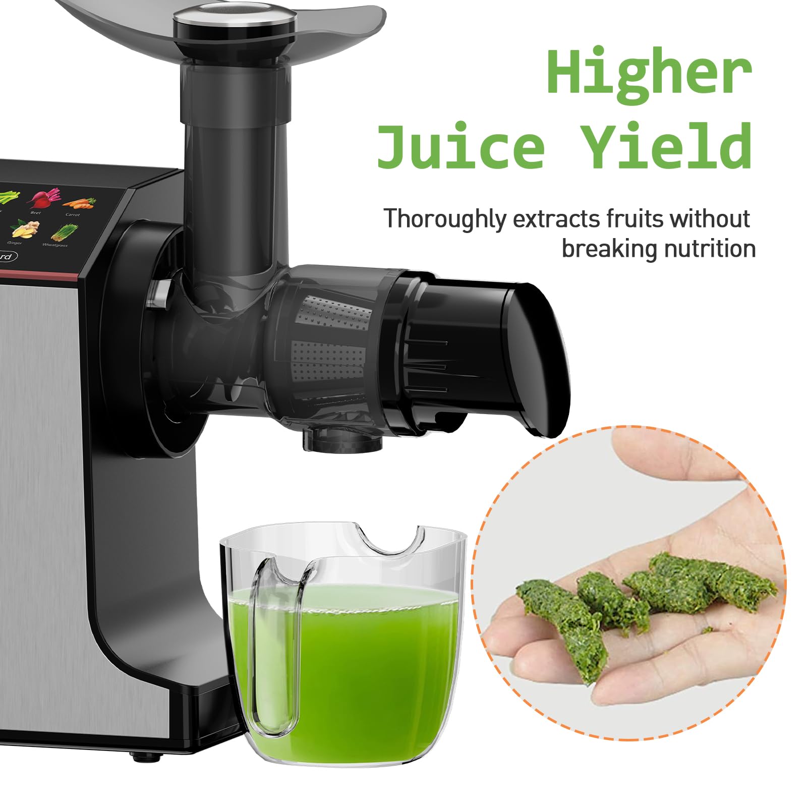 Whall Masticating Slow Juicer, Professional Stainless