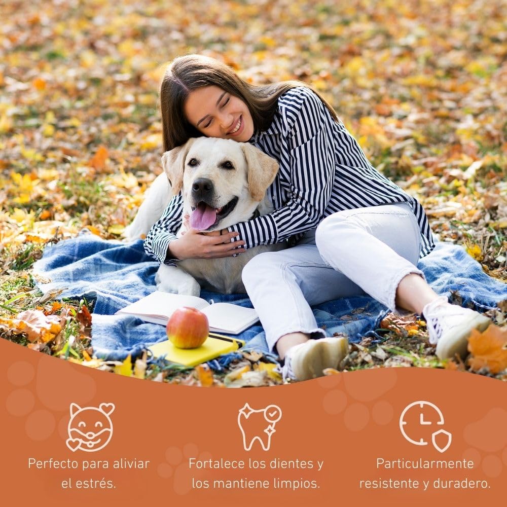 Wildfang® Raíz Masticable de Brezo Grande – Mordedor de Madera, Juguetes para Perros Agresivos, Sin Olor, Natural para Dentición y Salud Dental, Encías Saludables (25-45 kg), Paquete de 3