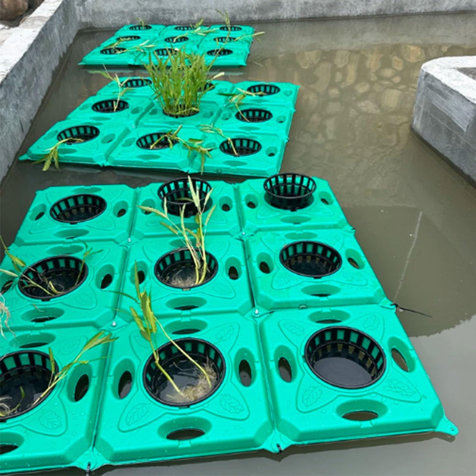 Set da 2 pezzi: Isola galleggiante con barriera per piante e pesci | Barriera galleggiante per piante e pesci, adatta per giardini acquatici, acquaponica e idroponica (uso esterno)(C)
