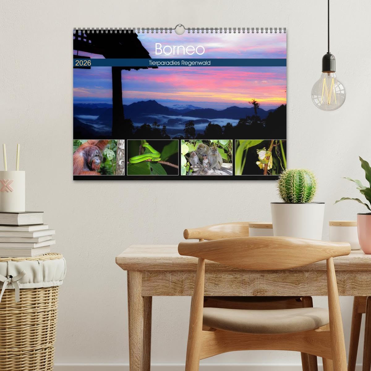 Borneo - Tierparadies Regenwald (Wandkalender 2026 DIN A3 quer), CALVENDO Monatskalender: Eine tierische Bilderreise durch Borneo (CALVENDO Tiere)