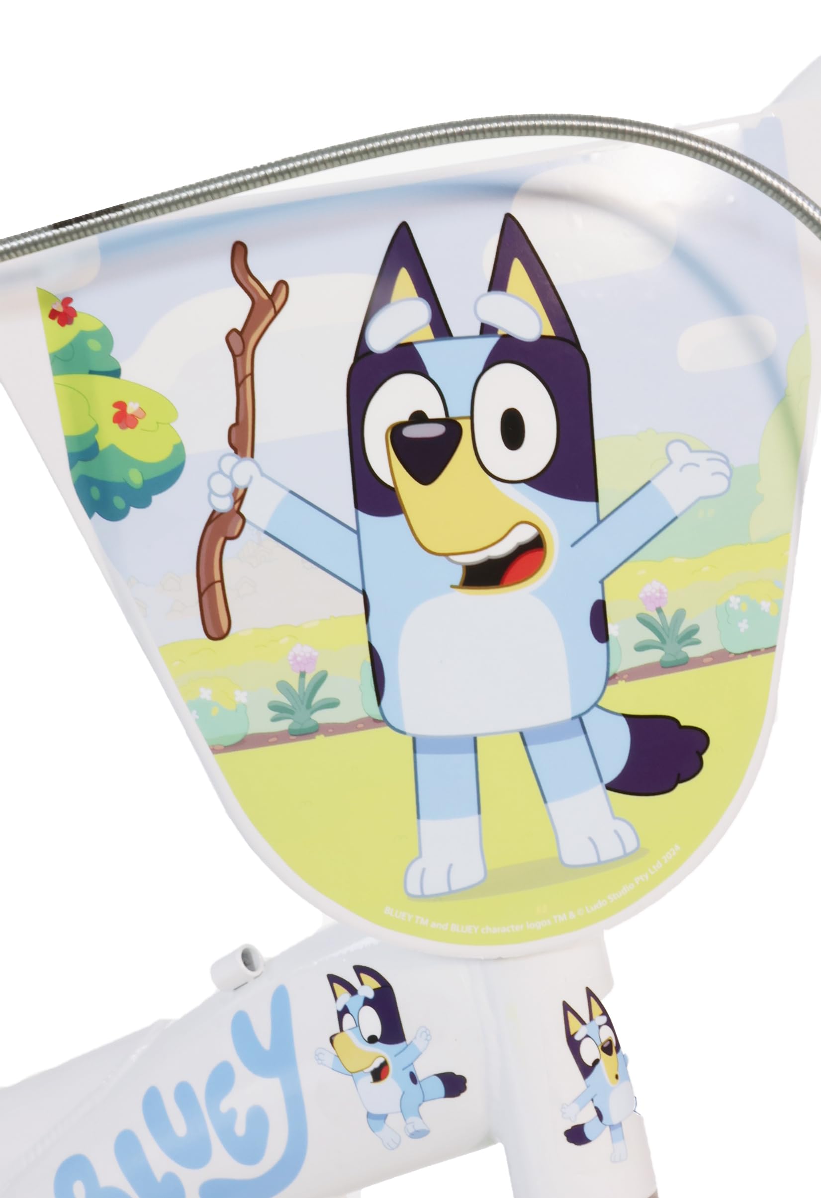 Dino Bikes per Bluey bicicletta Bimba e Bimbo 12"