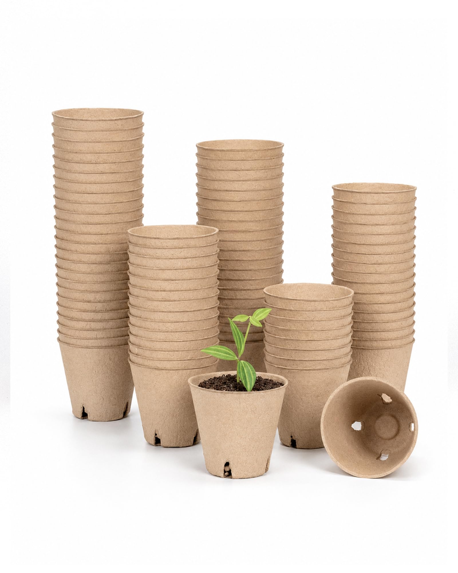 Bamworld 100 Pcs Nursery Pots with Drainage, 8cm Biodegradable Seed & Seedling Pots for Plant Propagation and Seed Starting, Eco Friendly