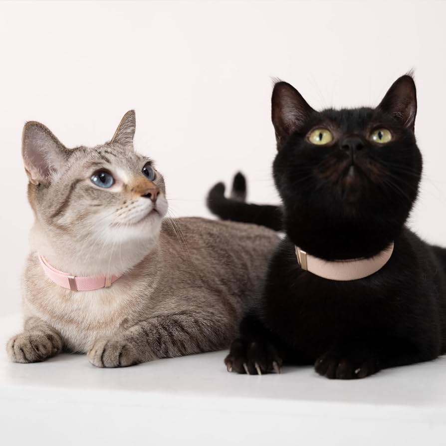 Cat Collar With Airtag Holder, Breakaway Cat Airtag Collar With Reflective Strap, Lightweight Kitten Collar For Apple Air Tag, Hidden GPS Tracker Holder For Boy Girl Cats, Kittens, Puppies (9-13