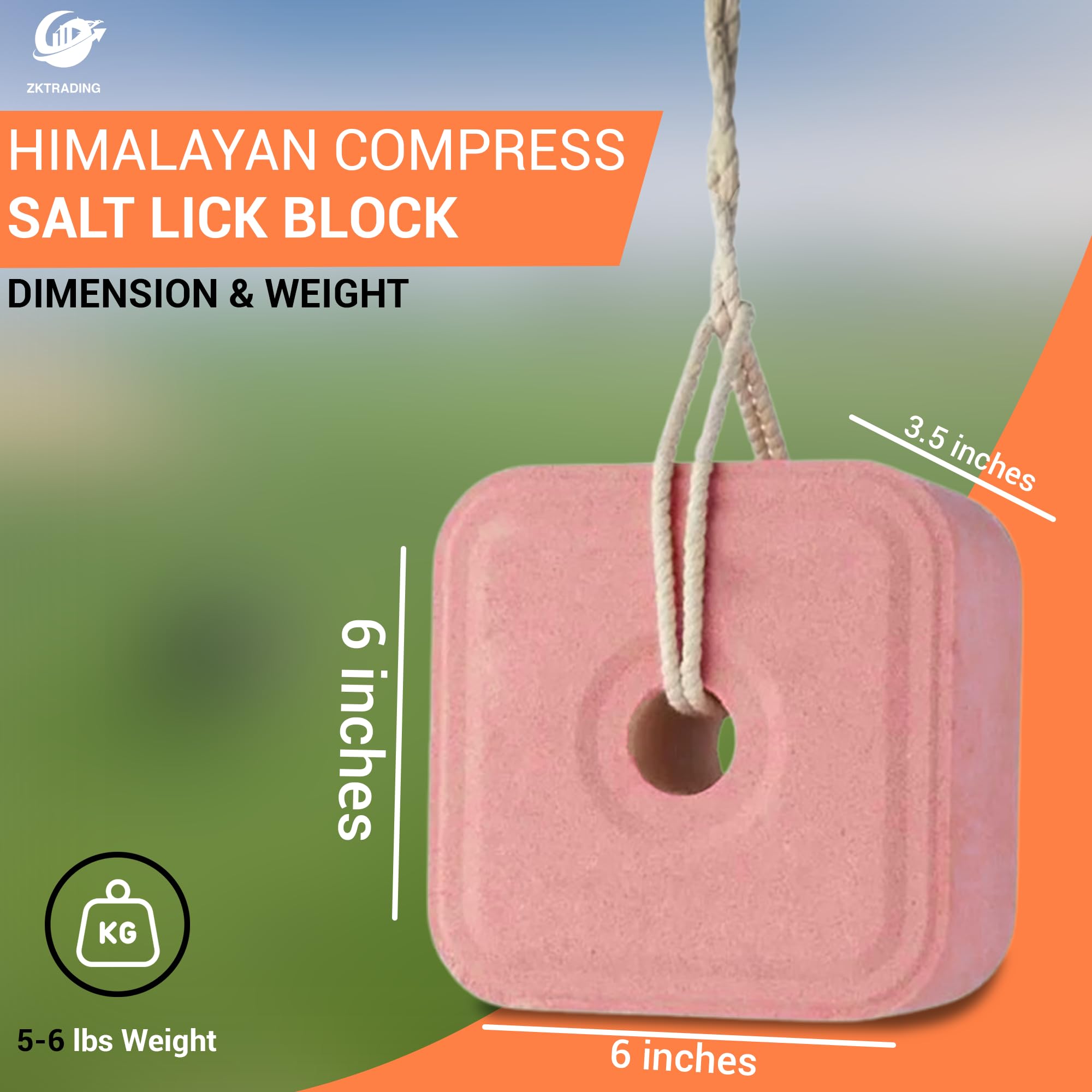 Confezione da 4 leccate di sale dell'Himalaya compresse da 3,2 a