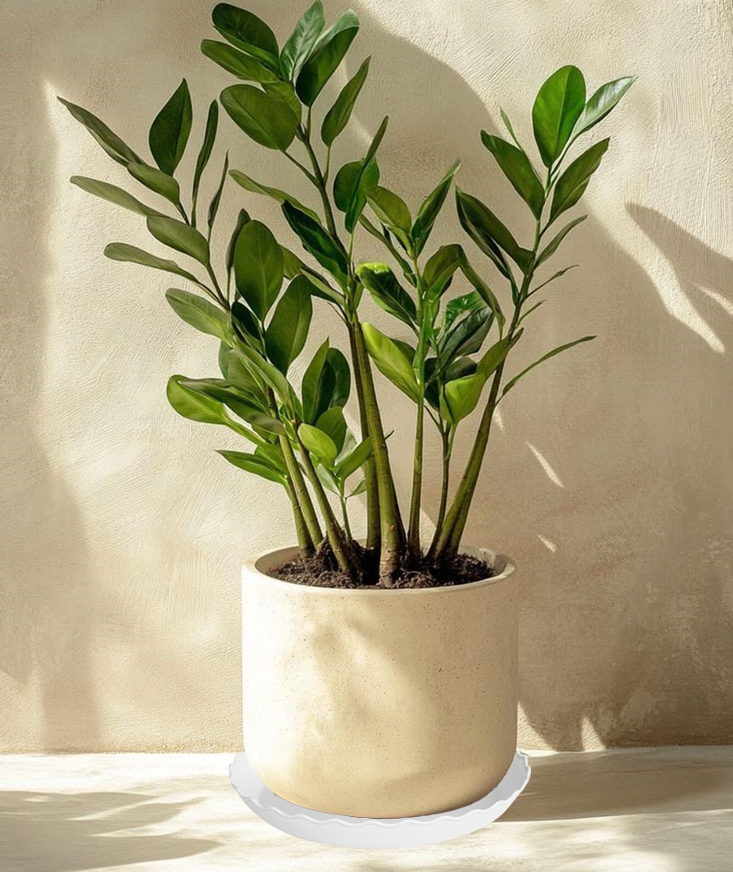 2 Stück Pflanzen-Untersetzer, 30,5 cm, robuste Kunststoff-Pflanzen-Untersetzer, langlebige Pflanzschale für Töpfe, Blumentöpfe für den Innenbereich, Blumentopf-Untersetzer, Tabletts für