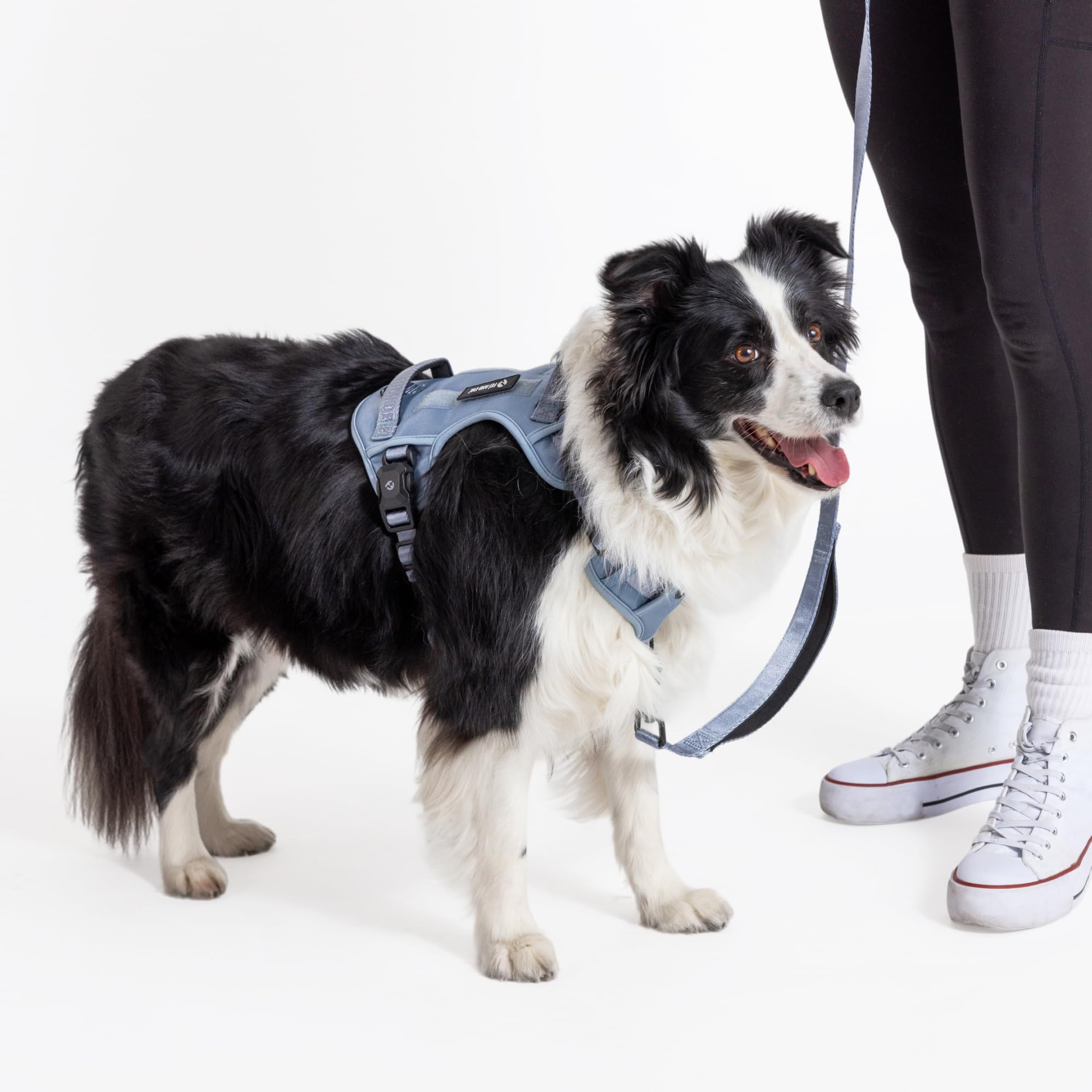 Fei & Eve MagEase - Arnés para perro, nueva edición 2026, hebillas magnéticas de 3 segundos, control sin tirones de 3 puntos, nailon 900D resistente, asas de seguridad duales, malla transpirable