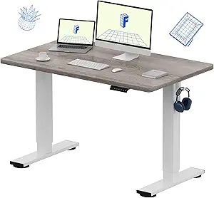 FLEXISPOT EN1 One-Piece Standing Desk, 48 x 30 Inches Electric Height Adjustable Desk for Home Office (White Frame + Gray Wood Desktop, 2 Packages)