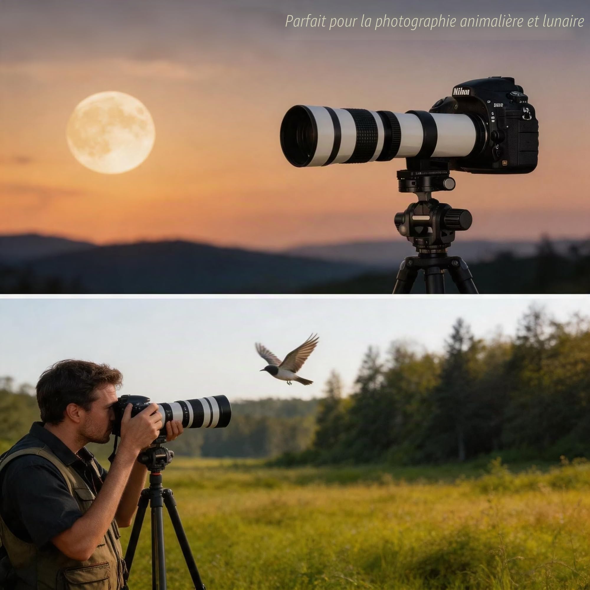 JINTU Téléobjectif 420-800mm EF Objectif Zoom Manuel pour Canon SLR Nikon
