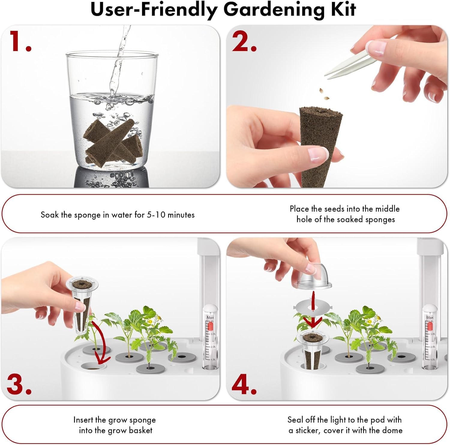 Kit de capsules de graines de légumes compatible avec le système de culture hydroponique AeroGarden