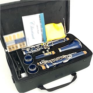 Bb Clarinet 17 Keys ABS Material Universal For Students And Beginners Clarinette Clarinet for Beginner (Color : 09)