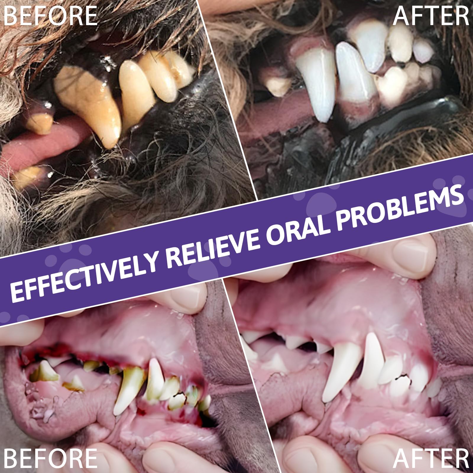 3 Piezas Pet Oral Repair Gel, BolíGrafo para El Cuidado Bucal De Mascotas, PortáTil La Limpieza Dental, BolíGrafo El Aseo Diario De Mascotas, para Gatos Y Perros