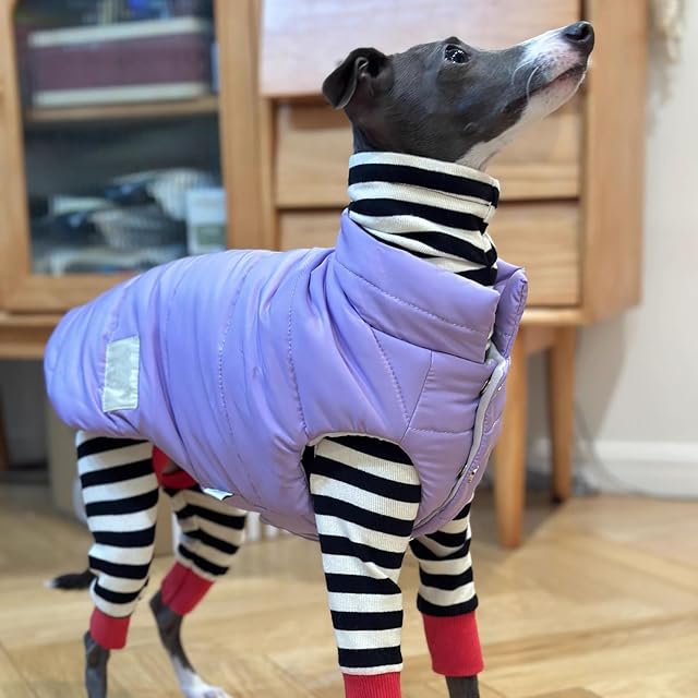 Foto 2 de 6 de UOSIA Ropa de Galgo Italiano suéter cálido de otoño para Whippet Cuello Alto elástico Cachorro Mono clásico…