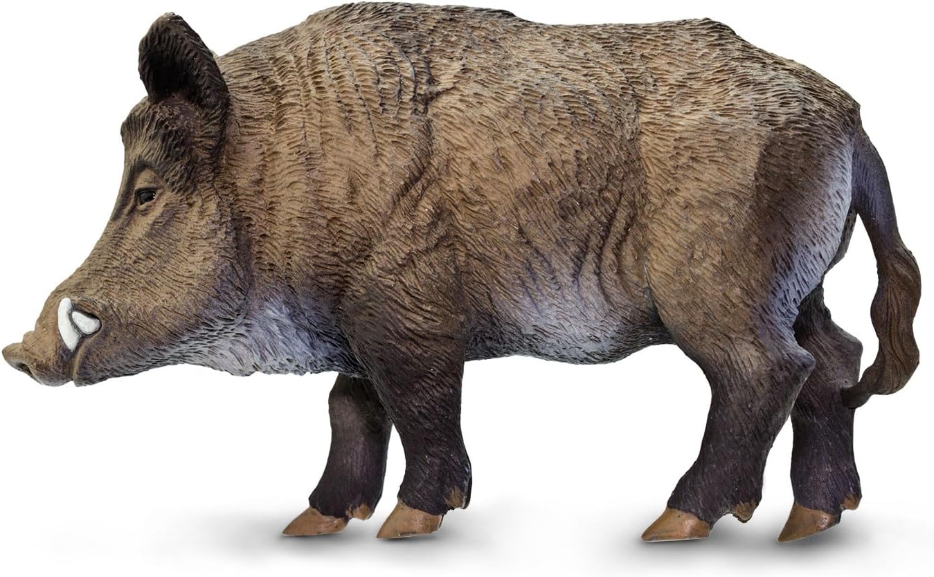 Wild Safari Sea Life: Boar