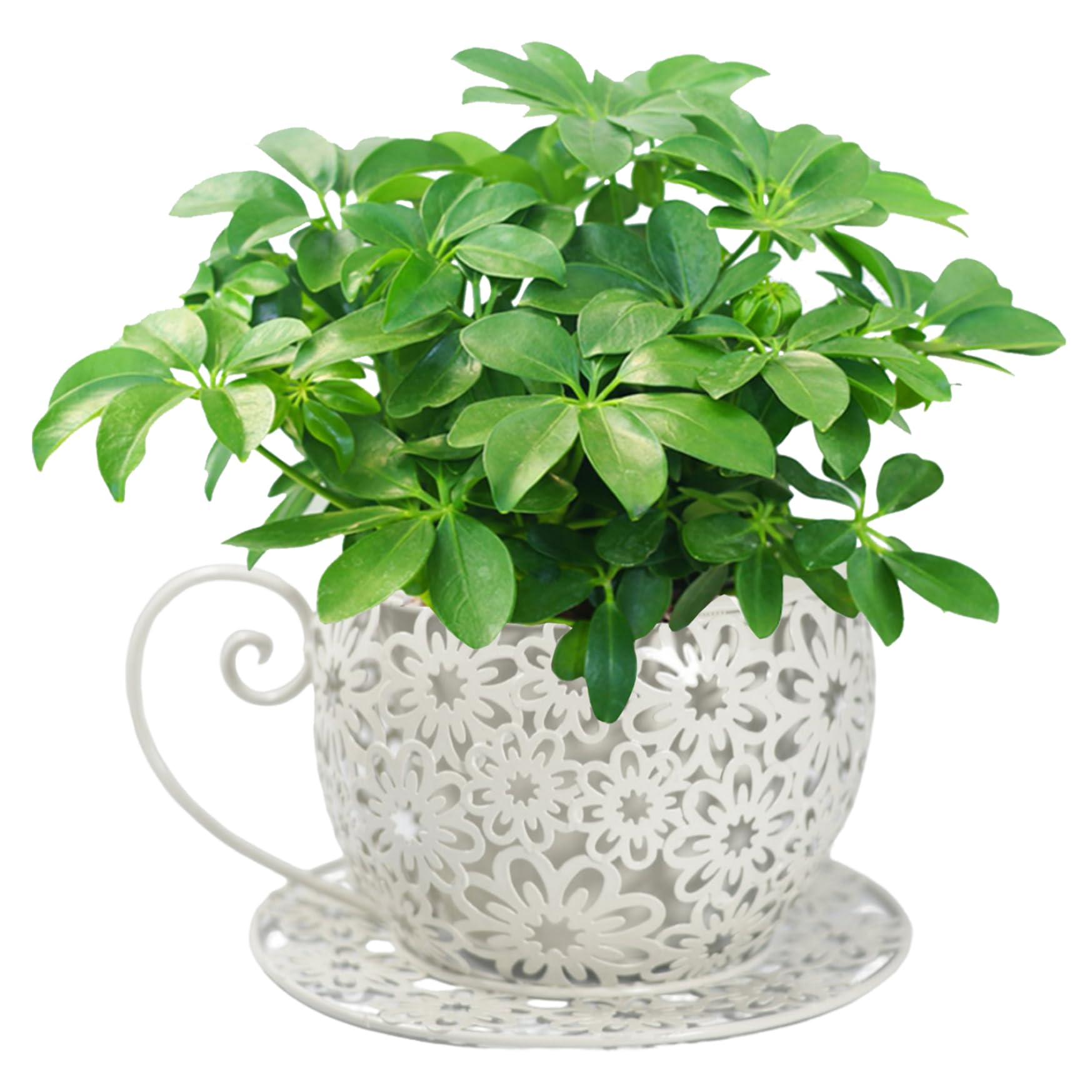 Hperu Flower Pots, Teacup Planter Cute Hollowed Out Flower Pots Iron Art Garden, Decorative Plant Indoor Vintage Metal Plant Holder for Indoor Outdoor