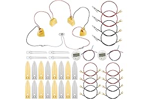 4 Sets Fruit Battery Science Experiment Kit