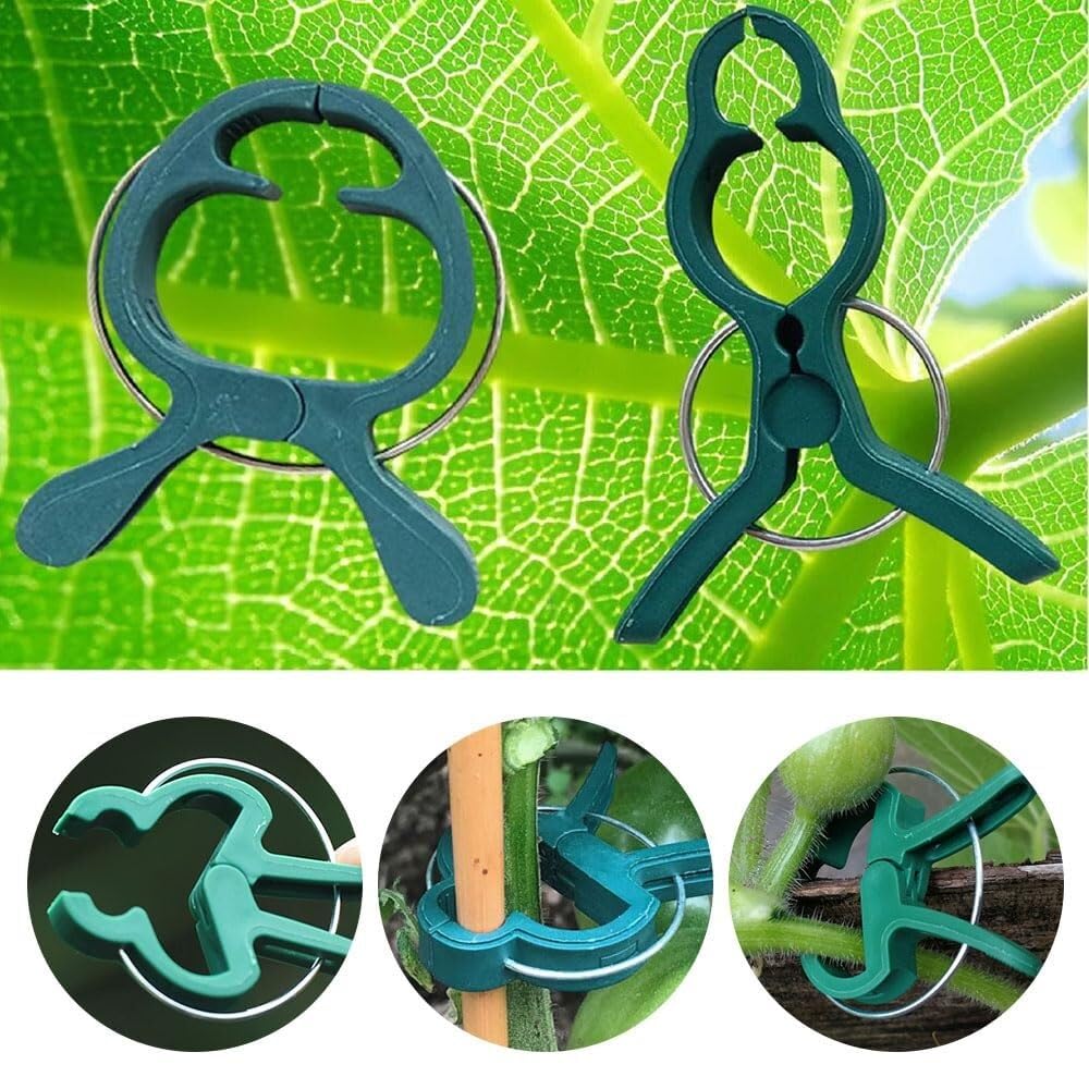 Piccole clip di supporto per piante in plastica sicure per piante rampicanti Clip di fissaggio per pomodori Clip per vite da giardino per traliccio a corda - Clip per piante durevoli e affidabili