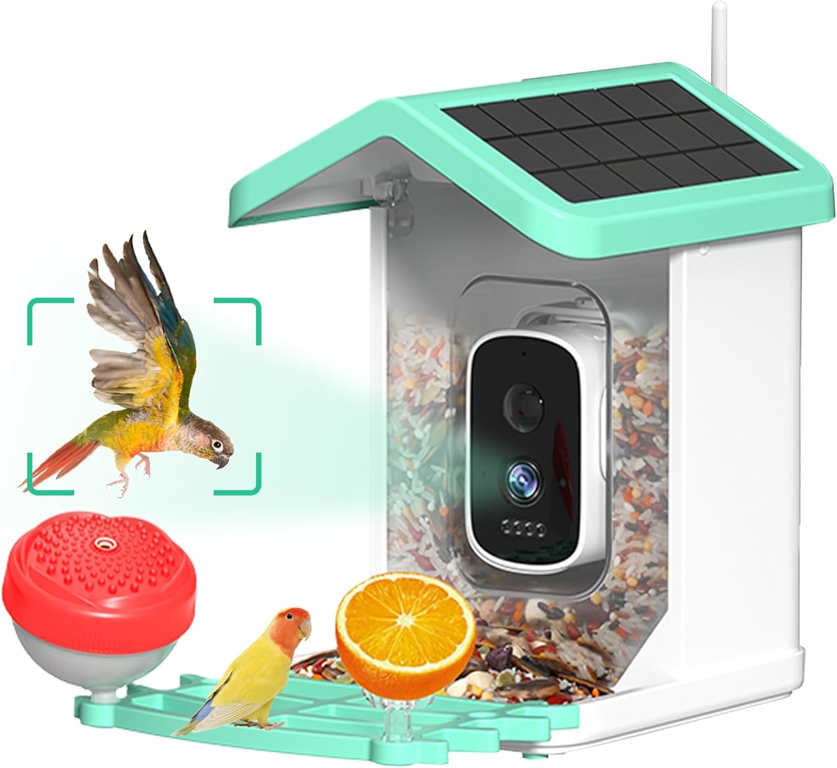 Bird Feeder with Camera, 4K HD AI Birds Species Identification Cam, Smart Bird Camera with Solar Powered, Auto Capture & Instant Notifications, Ideal Present for Family and Birds Lovers