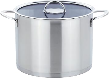 GSW Stahlwaren GmbH Stock Pot with Glass Lid, Silver/Clear, 26 x 19.8 cm, 10 Litre