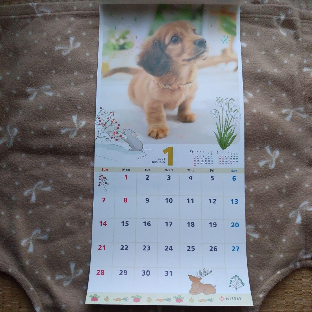 Amazon.co.jp: 日本生命2024ワンニャンLifeカレンダー : ホーム＆キッチン
