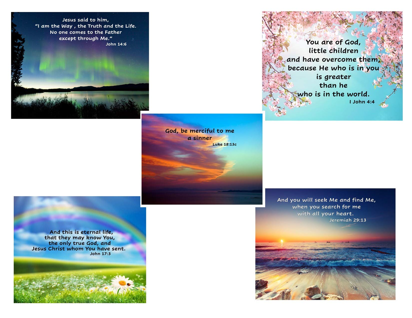 Buy Inspirational wall hanging, Bible verse on nature photos, 8" x 10