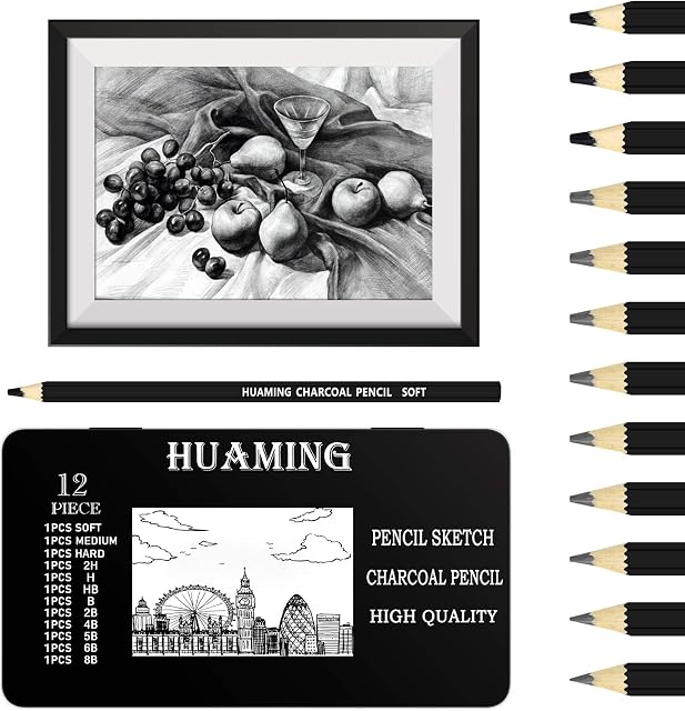 12Pcs Professional Sketch and Drawing Pencils Set, 2H H HB B 2B 4B 5B 6B 8B and 3Pcs Charcoal Art Pencils for Kids Adults Artists and Beginners