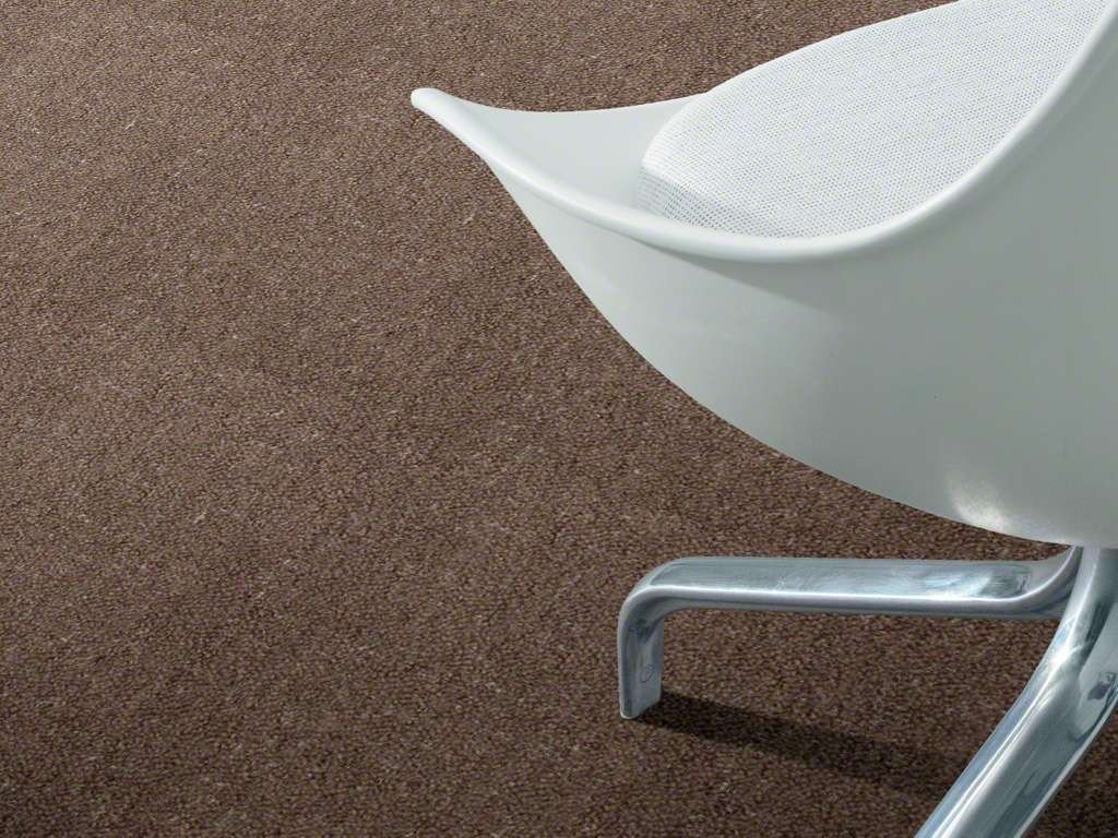 https://m.media-amazon.com/images/I/71gEs-ixp5L.jpg